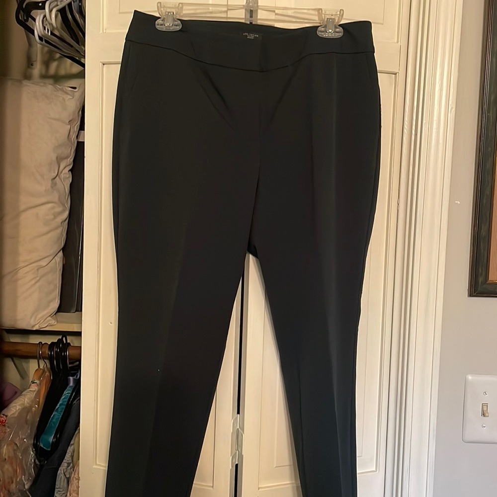 Ann Taylor dress pants